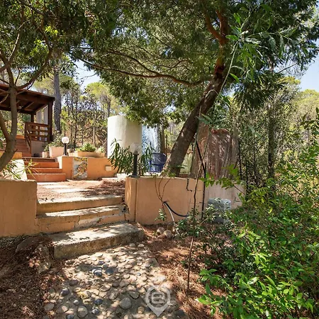 Pinus Village Coastal Hideway